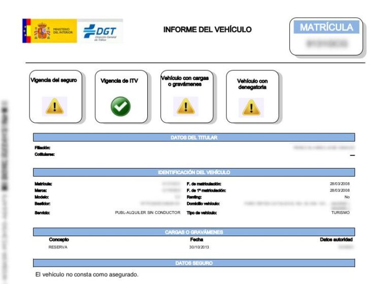 Detailed DGT vehicle check online